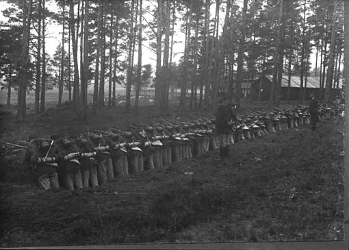 Västmanlands regemente, Salbohed.