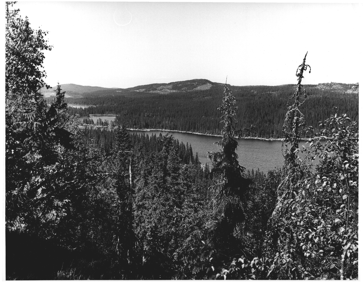 Utsikt fra åsen ovenfor Finnstad mot 3) Tverrsjøen, 2) Skarvevann, 1) Pershusvann, i bakgrunn "Kollern"