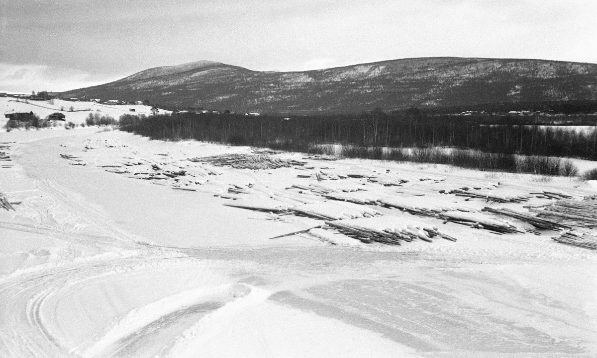 Nediset og delvis nedsnødd tømmer på Glomma på Tynset i Hedmark, vinteren 1952. Ved å legge tømmeret på isen på denne måten sparte man seg for utislagsarbeidet som måtte til, om fløtingsvirket hadde ligget på elvebakken. Stokkene var dessuten litt tilgjengelige for tømmermålerne når de kom med klaver og merkeøkser. Det var imidlertid flere betenkeligheter knyttet til å plassere tømmeret på isen på denne måten. Når elva gikk opp her, ville tømmerstokkene følge med nedover, men det kunne få hard medfart dersom isflakene pakket seg sammen og dannet propp lengre nede i vassdraget. Vel så problematisk var det at det tømmeret som ble lagt på elveisen, i hvert fall det som lå underst, lett ble eksponert for kjøving, noe som innebar at det ble vannmettet og tungt, og følgelig lett kunne synke på den lange fløtingsstrekningen sørover mot industrien ved den nedre delen av vassdraget. Fotografiet er antakelig tatt fra den nordvestre enden av brua mellom kommunesenteret på Tynset og Neby-grenda, med kameraet vendt ned mot det is- og snødekte elveløpet. I bakgrunnen ser vi Hopsæteråsen og fjellet Måna.