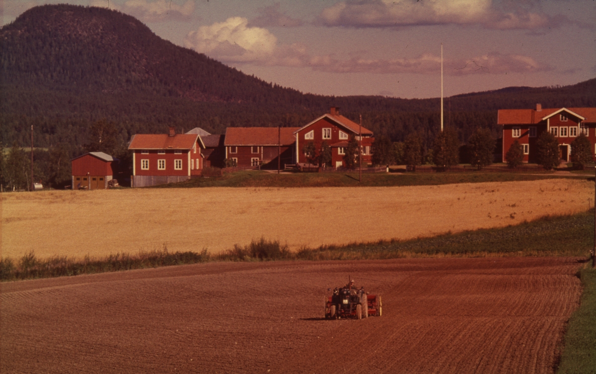 Höstsådd på en gård i Järvsö. Järvsöklack i bakgrunden.