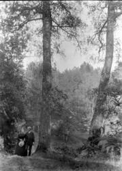 Caroline M. Fog og Nicolai L. Fog spaserer i park/skog (Berg