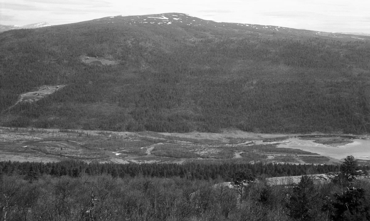 Landskapsbilde fra Skåbu i Nord-Fron i Gudbrandsdalen. Fotografiet er tatt på tvers av dalføret der den nedre delen av elva Hinøgla renner ut i innsjøen Slangen. Til venstre, i den sørvestvendte lia på den andre sida av elva, ser vi jordvegen på småbrukene Perslåa og Hovda som lysninger i et terreng der det ellers vokste fjellskog. Fjellet som rager mot horisonten heter Skardfjellet  (1158 m. o. h.). Slangen, til høyre i forgrunnen, ligger 668 meter over havet.