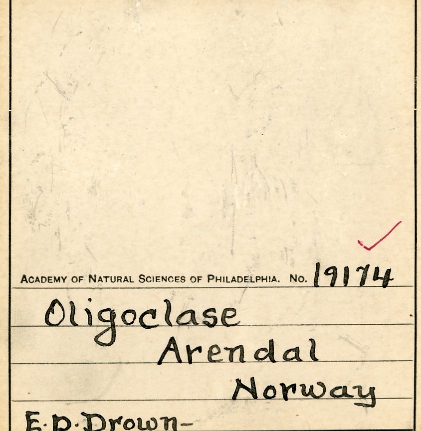 E.D. Drown collection => Philadelphia Academy of Natural Sciences