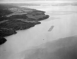 Tømmerslep over innsjøen Øyeren sommeren 1985.  Tømmer fra Ø