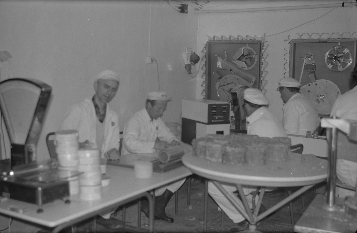 Ostepakkelageret ved Ølen Meieri i Ølensjøen, 1965. Frå venstre: Bent Christoffersen og Johan Vinje. Dei øvrige er ukjende.