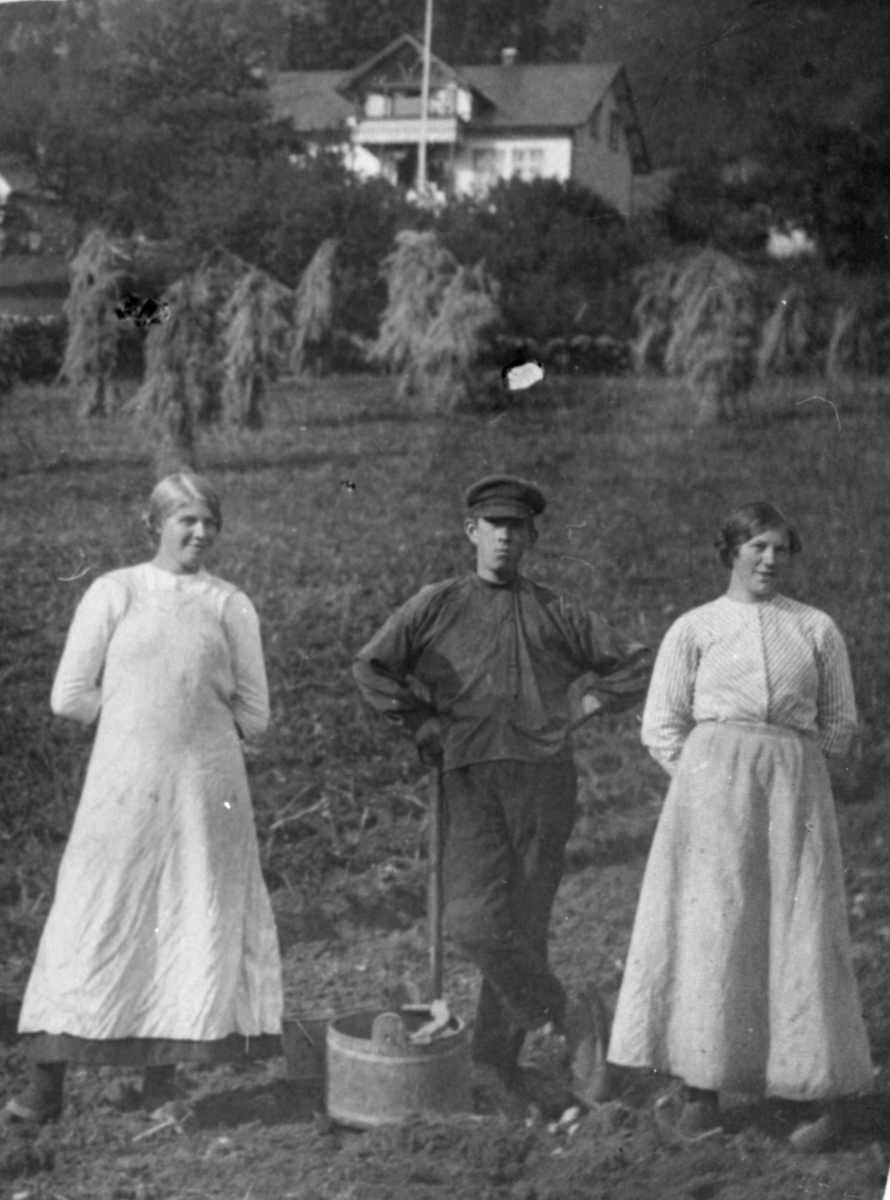 Potetopptak på garden Rabbane, tilhøyrande Hans Stensson Kolbeinshaug, i Ølensvåg, 1922. Frå venstre: Sina Kåta Øvrehus, Hans Ulvanes og Lovise Berge.