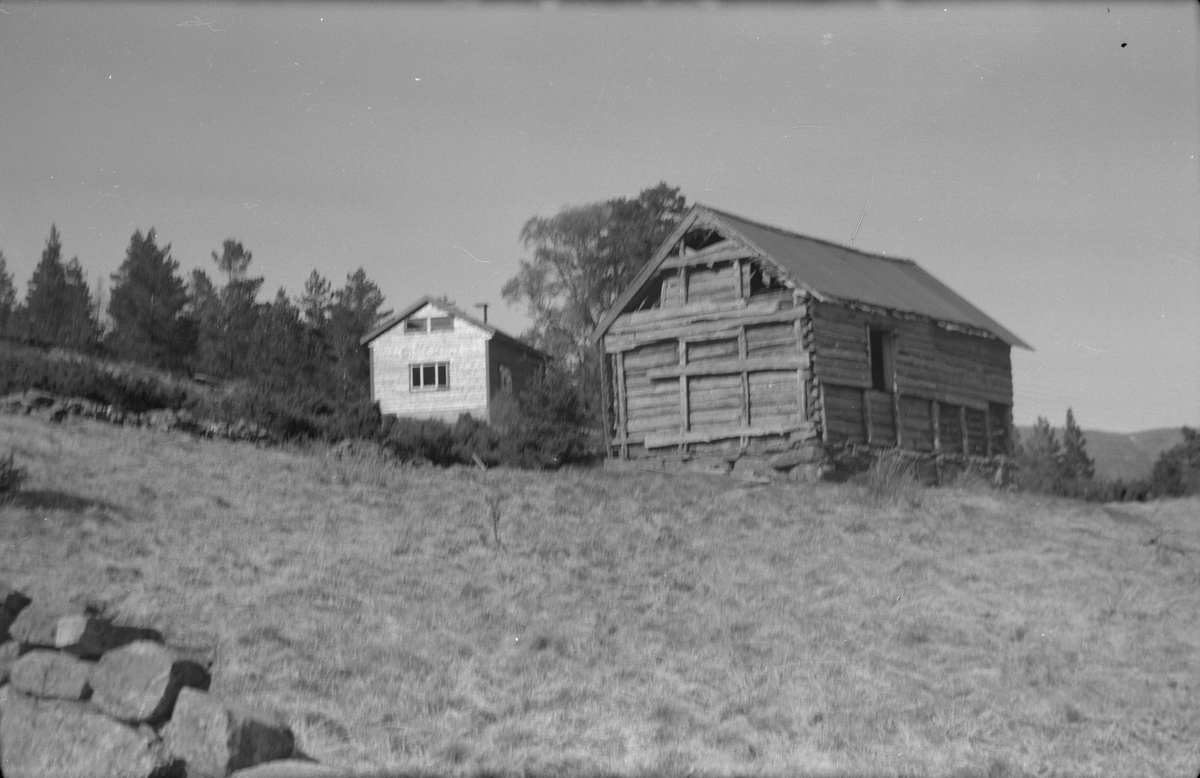 Vikestølen i Vikebygd, 1976.