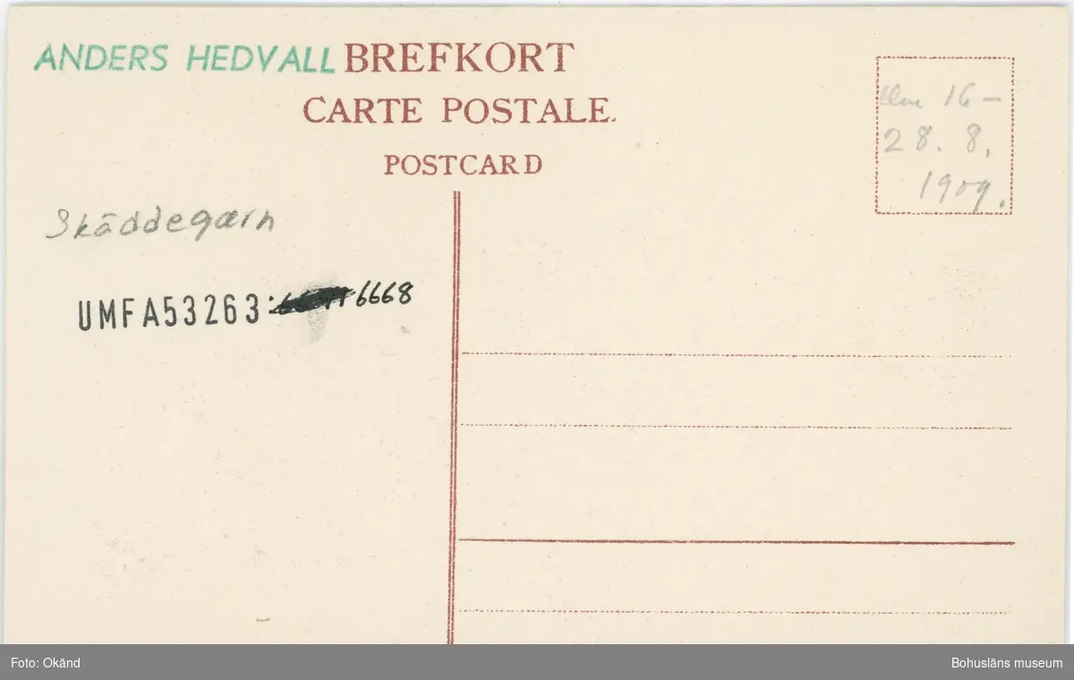 Tryckt text på kortet: "Bohuslänska fiskare."
"Albert Wallins Bokh. Lysekil."
Noterat på kortet: "Skäddegarn."