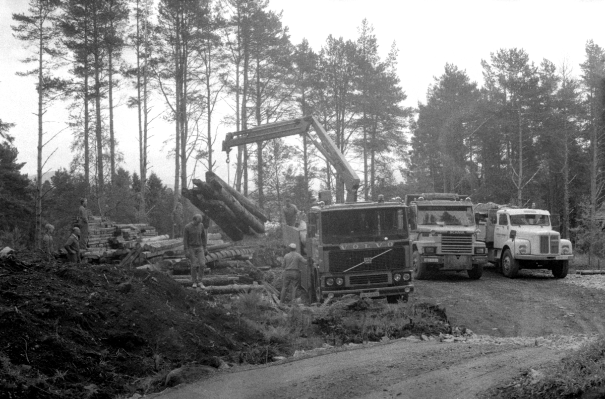 Dokumentasjonsbilder i serie av bygningsdeler fra Opshaugløa som ...