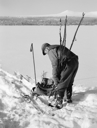 Osvald Kolbu fanger lake med fiskesaks fra den snødekte isen