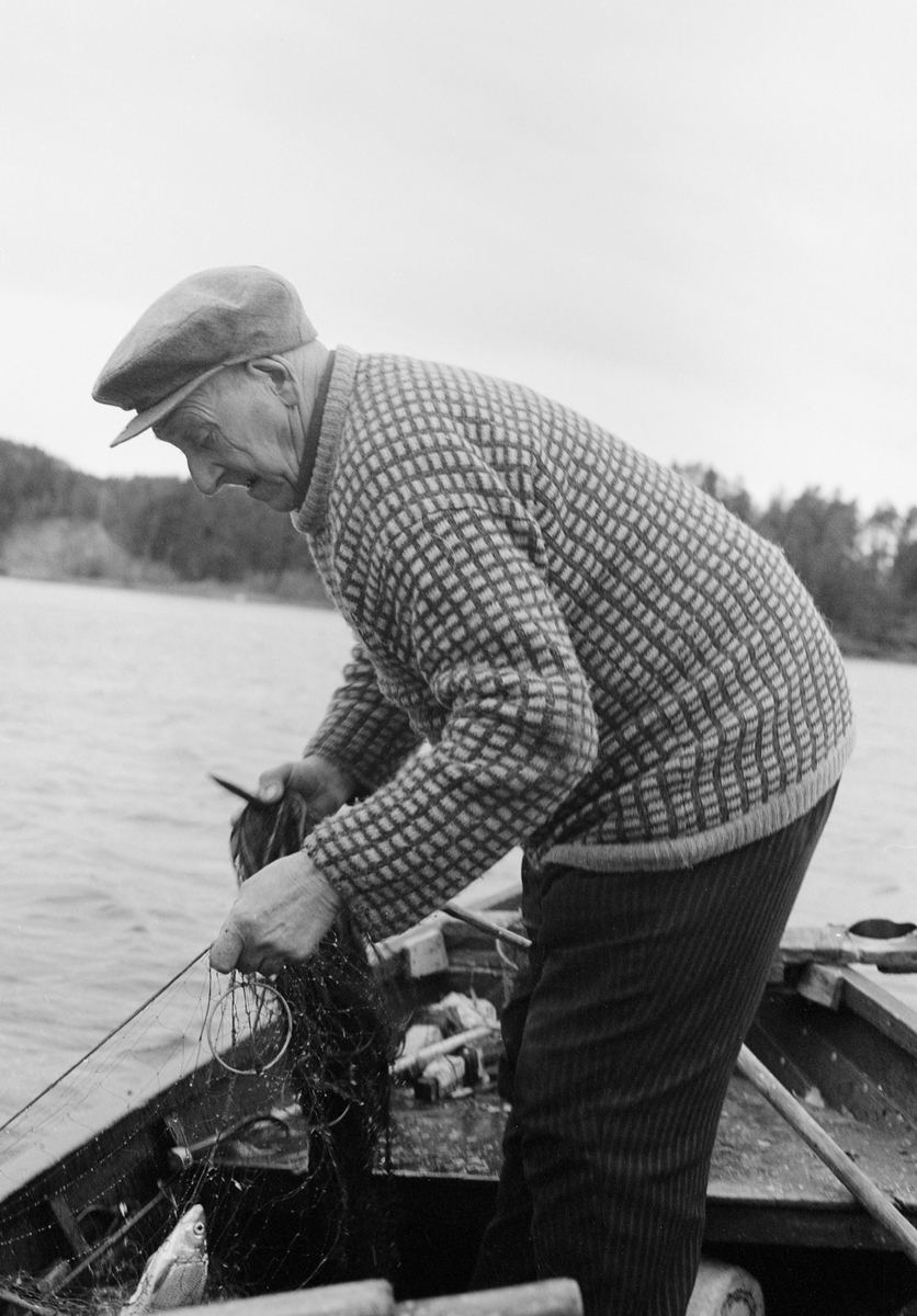 Yrkesfisker Paul Stensæter (1900-1982), fotogfrafert i robåten han brukte under garnfiske etter sik og ørret i Steinsfjorden, en sidearm til Tyrifjorden på Ringerike i Buskerud. Bildet ble tatt høsten 1973. Stensæter var da den siste som hadde næringsfiske som hovedsyssel i dette området. Da han var ung skal det ha vært 17-18 som drev slikt fiske, blant annet Stensæters far, Sigvart Stensæter (1878-1963) . På dette fotografiet ser vi fiskeren som sto i båten med et garn i høyre hand, iført grovstripete cordfløyelsbuksder og rutemønstret ullgenser. Stensæter hadde sixpencelue på hodet. Fotografiet ble tatt en gråkald dag i slutten av oktober. 

Åsmund Eknæs fra Norsk Skogbruksmuseum intervjuet Paul Stensæter i 1973 og 1974. Det fiskeren fortalte om høstfisket med garn sammenfattet Eknæs slik:

«Høstfisket er særlig konsentrert om siken, og det er bare garn som benyttes. Allerede i juli kan han begynne, og de tre første ukene kalles fisket for "lusfiske" fordi fisken da har lus. Denne "lus-siken" er noe mer småfallen enn "grunnsiken", som opptrer lenger ut på høsten. Sjøl om det er siken som er hovedarten, får han også en del ørret og brasme under høstfisket.

Han fisker på bunnen og bruker som søkke på garna jernringer med 9 cm diameter. Disse ringene er gjort litt større enn ei utstrukket maske for å hindre at de skal smette gjennom og skape ugreie. Tidligere besto søkkene av neverruller fylt med stein og ble kalt "skvælper". Fløttene, "flæra", er av brettet never.

Når det gjelder fangstmengdene under høstfisket har vi det samme forhold som ved sommerfisket. Det finnes ikke nøyaktige oppgaver. Men dagsfangster mellom 15 og 25 kilo må anses for å  være ganske normalt.

Når de reset høstsiken kunne det bli betydelige mengder med rogn. Denne brukte fiskerne gjerne i egen husholdning. Rå, saltet sikrogn var et vanlig pålegg. Enten vispet de den for å få bort trevlene, eller der gjorde som Pauls far, saltet hele rogna og brukte den på brødet slik den var.»