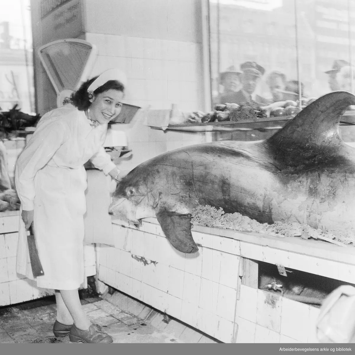 En delfin som hadde satt seg fast i fjæresteinene utenfor Drøbak, havnet på midlertidig utstilling i vinduet til fiskehandler Erling Moe på Youngstorget. Borgny Larsen med øks. Oktober 1957.