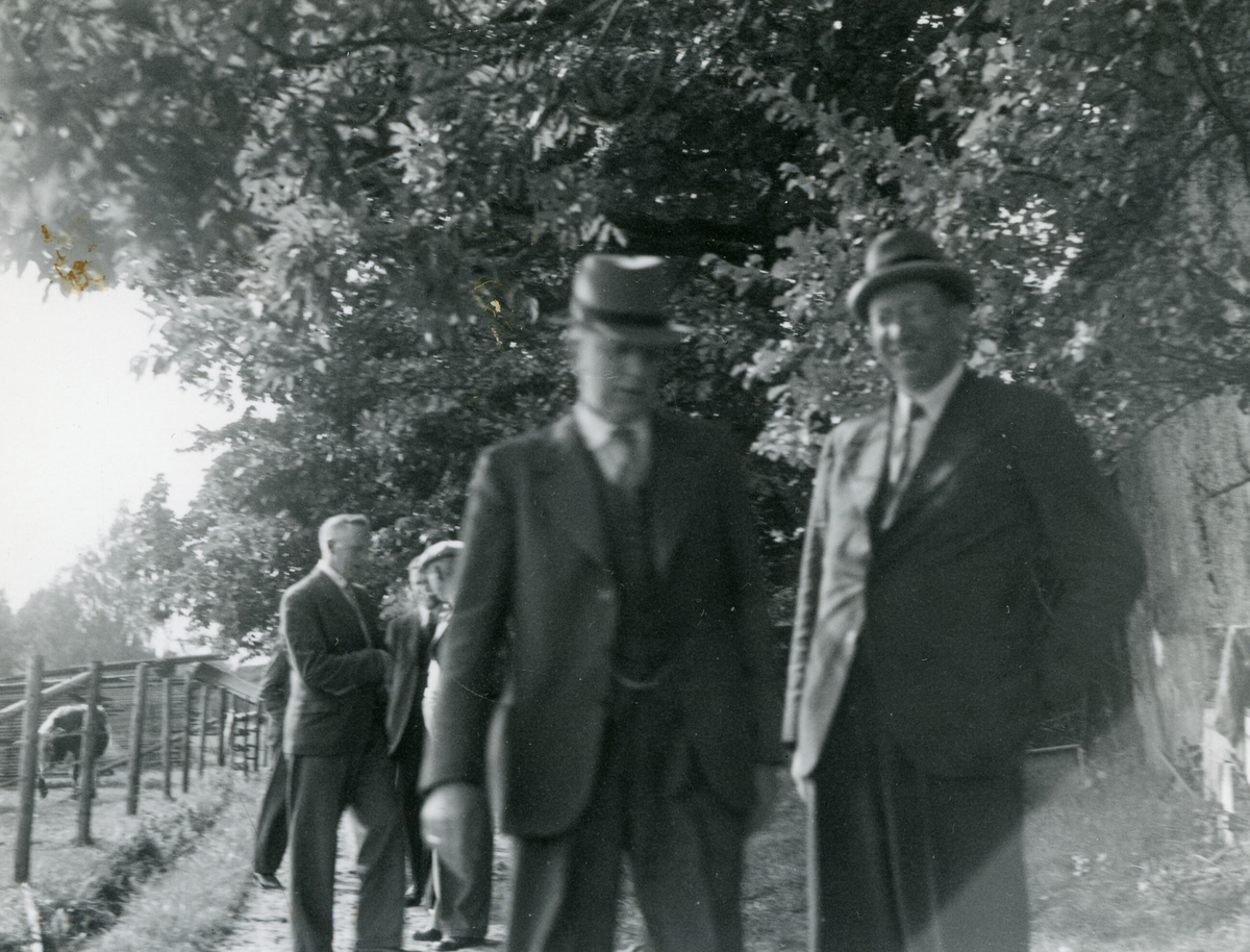 6 bilde frå Kornrådets besøk hjå Neri Valen 9. august 1939.  Neri Valen var ein av medlemmane i Kornrådet.