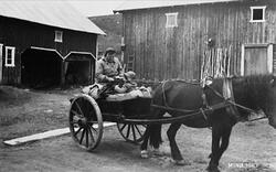 013Ajsp33gG2?dimension=250x250