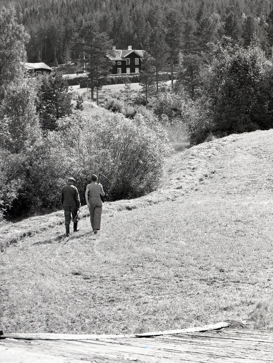 Två män vandrar på nyslagen mark. En av männen har bar överkropp och bär på en lie. Den andre mannen är klädd i blåkläder och keps och bär på en räfsa av trä. I bakgrunden ser man långhässjor med hö på tork framför en gård.