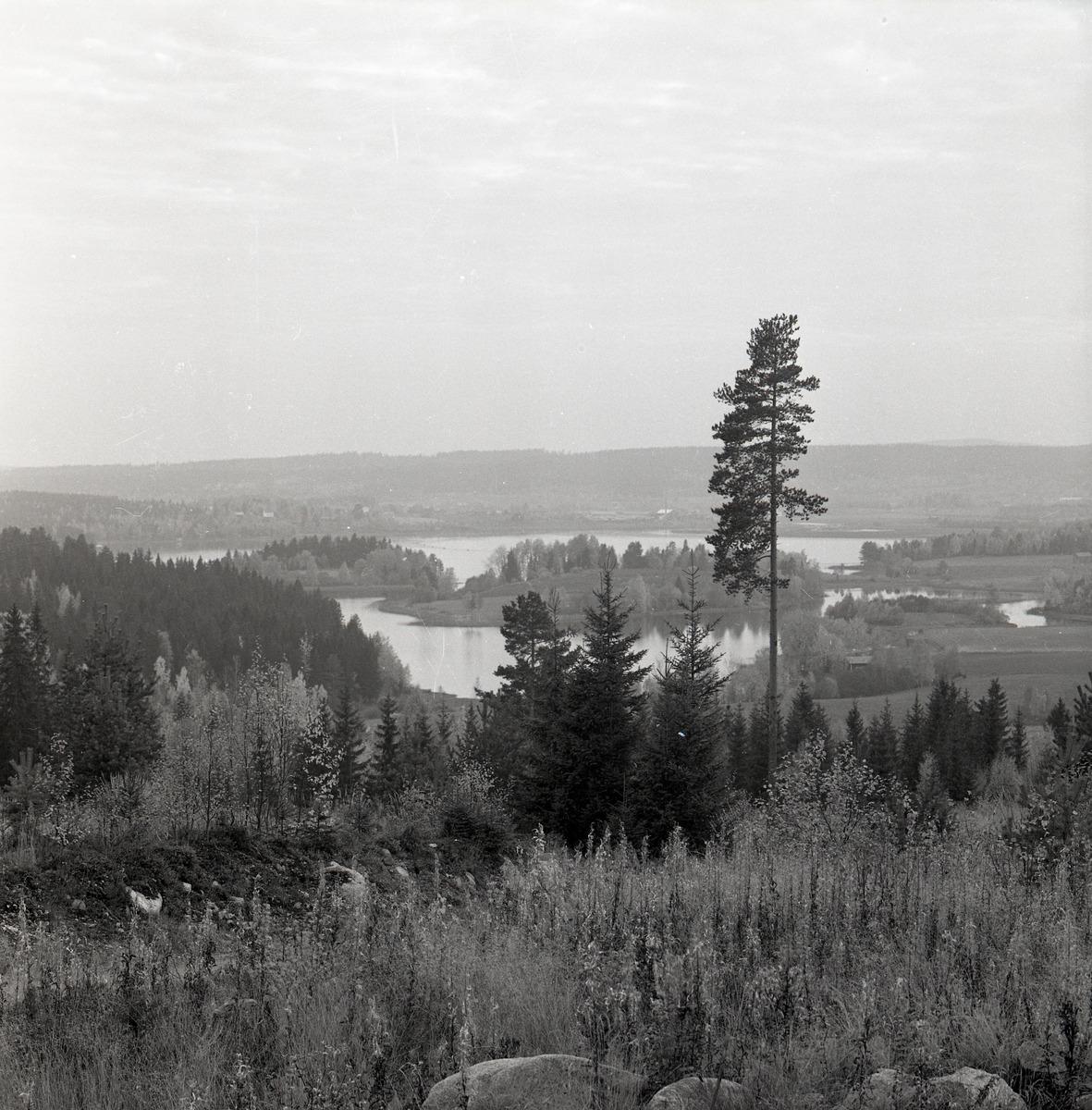 Utsikt över ett landskap med skog, sjö, och berg. - Hälsinglands Museum ...