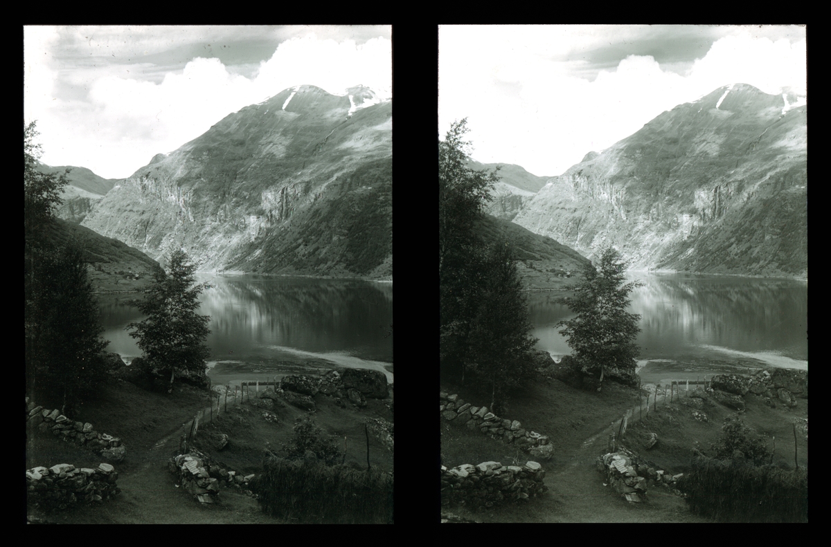 Fjordlandskap med steingard, Geirangerfjorden. Tilhører Arkitekt Hans Grendahls samling av stereobilder.
