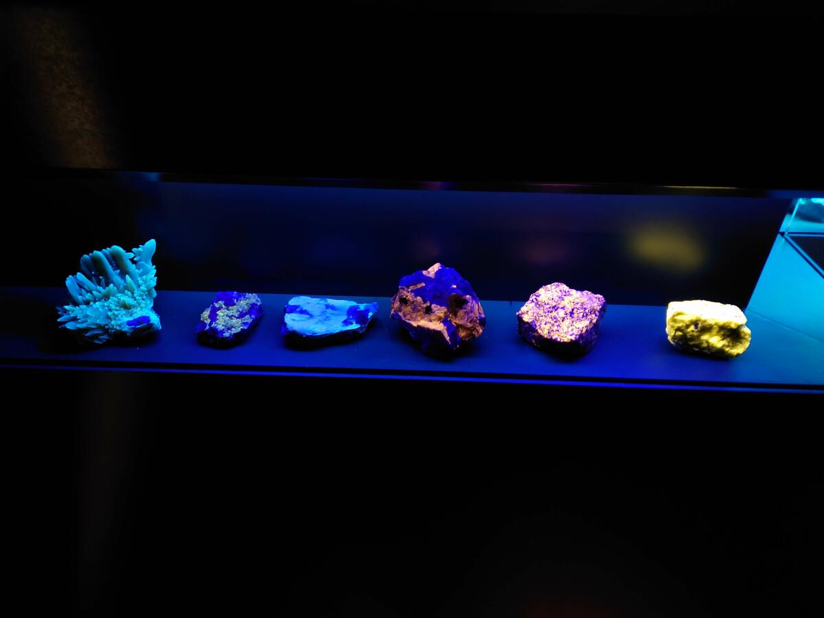 Fluoriserende mineraler i Geolaben (Foto/Photo)