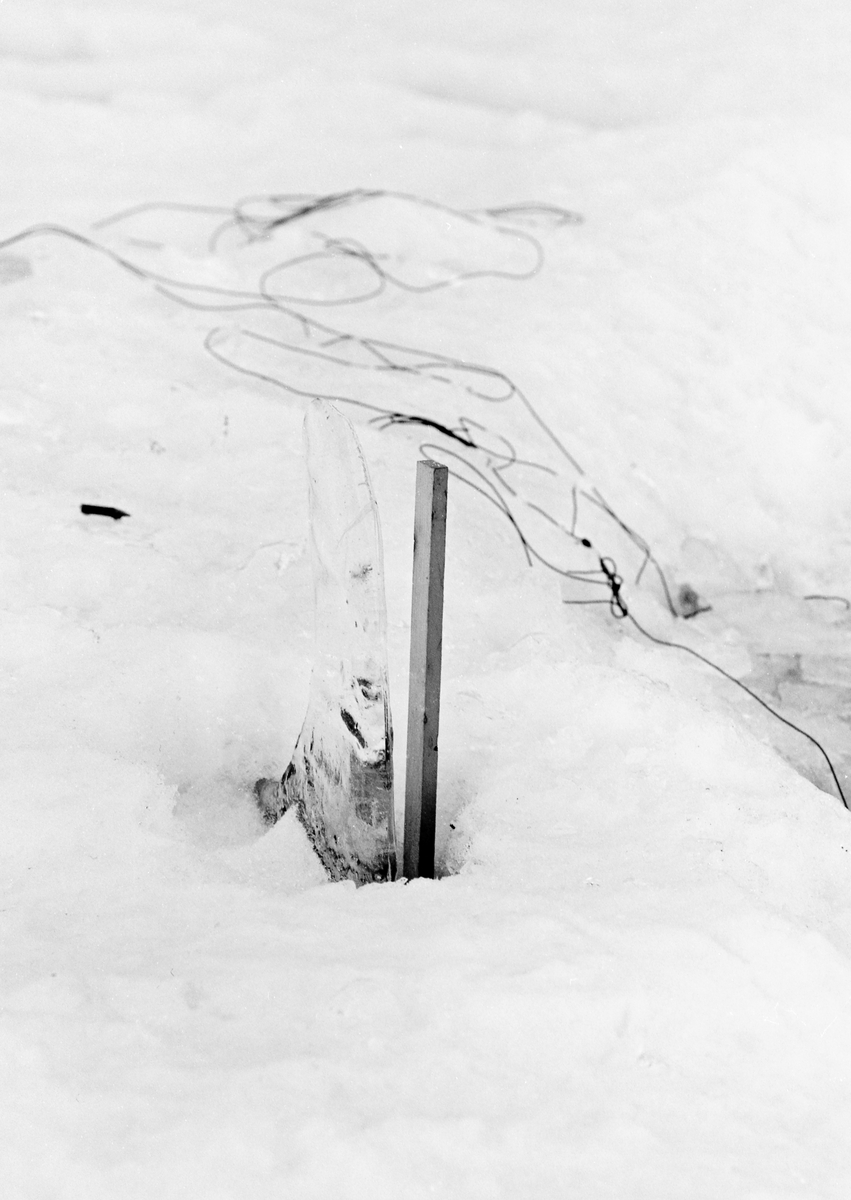 En pinne og et isflak yrkesfiskeren Paul Stensæter (1900-1982) hadde reist på den snødekte isen på Steinsfjorden, en sidearm til Tyrifjorden på Ringerike. Dette var antakelig gjort for å tydeliggjøre hvor han hadde hogd hull i isen for å kunne trekke sikgarn i vintersesongen. Slike markører var gode å ha dersom det falt store mengder nysnø før garna skulle trekkes neste gang. Dette ble gjort med to døgns mellomrom.

I 1973 og 1974 var Åsmund Eknæs fra Norsk Skogbruksmuseum flere ganger på besøk hos Paul Stensæter for å intervjue ham og observere ham i arbeid som fisker. Det Eknæs fikk vite om garnfisket under isen på Steinsfjorden sammenfattet han slik:

«Sikfiske med garn. Dette fisket foregikk på to steder, i åpent vann ute i Tyrifjorden og under isen i Steinsfjorden. Tyrifjorden er ofte åpen langt utover vinteren og det hender at den ikke legger seg i det hele tatt. De dro da i båt over fra Steinsfjorden og satte garn på ganske store dyp, 20-40 favner. Når det ble fisket for fullt ble det brukt 20 garn. 10 sto ute mens de øvrige var hjemme til tørking.

Garnfisket under isen i Steinsfjorden begynner så fort isen legger seg om høsten, fordi tynn og gjennomsiktig is er en fordel når garna skal settes ut første gang. Å sette ut garn under isen kaller Paul for øvrig «å høgge ut garna». Dette krever en spesiell teknikk. Er isen gjennomsiktig, foregår det på følgende måte: To hull hogges med så lang avstand som lengda på garnet. Ei rett granstang på 7-8 m stikkes ned i det ene hullet med den tynneste enden først. I den tykkeste enden er det et hull hvor det blir festet ei snor. Stanga blir nå skjøvet i full fart mot det andre hullet. En viktig detalj ved denne stanga er at den skal være nyhogget. Da ligger den dypere i vannet og skubber mindre mot isen. Stanga går ikke helt fram til det andre hullet. Der den stopper blir det hogget et mindre hull og den skyves videre ved hjelp av en kjepp med ei kløft i enden. Når snora er brakt fram på denne måten, er det en enkel sak å trekke garnet under isen. 

Men er isen ugjennomsiktig, slik at det er umulig å se stanga, må Paul gjøre det på en annen måte. Da finner han ei lang stang med god krumming på. Så hogger han hull så tett at stanga kan stikkes ned i det ene og komme opp igjen gjennom det neste.

Garnet er nå på plass under isen og står på bunnen på 5-10 favners dyp. Fra hver ende av garnet går det ei tynn snor opp til hullet i isen. Snorene går ikke opp gjennom hullet, men er festet litt ved siden. Dette er gjort for å hindre at han hogger dem av når is som har dannet seg i hullet skal fjernes.

Dagens nylongarn tåler å stå ute hele vinteren. Tidligere, da lin og bomull var mest brukt, var det nødvendig å ta garna opp og tørke dem. Av de 20-40 garn som Paul brukte, var halvparten til tørk.

Ettersynet, som gjerne foregår annenhver dag, begynner med at han får tak i snorene fra garnet ved å stikke en pinne med krok på innunder isen. I den borteste enden løsner han garnsnora og fester isteden ei lang nylonsnor til garnet. Tidligere brukte han snor av tvunnet hestetagl. Snora er så lang at den også rekker bort til der han står oppå isen. Ved trekkinga tar han ut fisken etter hvert. Når hele garnet er trukket, blir han stående på samme sted, tar tak i snora og drar garnet ut igjen samtidig som han passer på at det går ordentlig.

I sterk kulde vil det våte garnet fryse til en klump og være umulig å sette igjen. For å hindre dette hogger han ei grop i isen bak hullet og fyller denne med vann. Etter hvert som han trekker garnet putter ha det ned i gropa og det holder seg opptint til det skal settes igjen.

Når det blir mildvær og fare for at isen skal gå opp og komme i drift, må det tas spesielle forholdsregler for å hindre at garna blir dratt med isflak og forsvinner. Paul binder i slike tilfelle inn en bit snelletråd i den snora som går fra isen og ned til garnet. Kommer isen i drift, vil snelletråden ryke, og garnet blir stående igjen på samme sted. Det er da en forholdsvis enkel sak å sokne etter det.

Garnfisket ga jevne tilførsler av sik gjennom det meste av vinteren. Vintersiken i Steinsfjorden er noe mindre enn høstsiken. Det går omkring 4 på kiloen, mot 3 om høsten. Fangstene varierer fra noen få til 25-30 pr. garn. Med 10 garn ute vil han kunne få opptil 200-300 sik eller 50-70 kilo. Men da blir garnene trukket bare annenhver dag.»