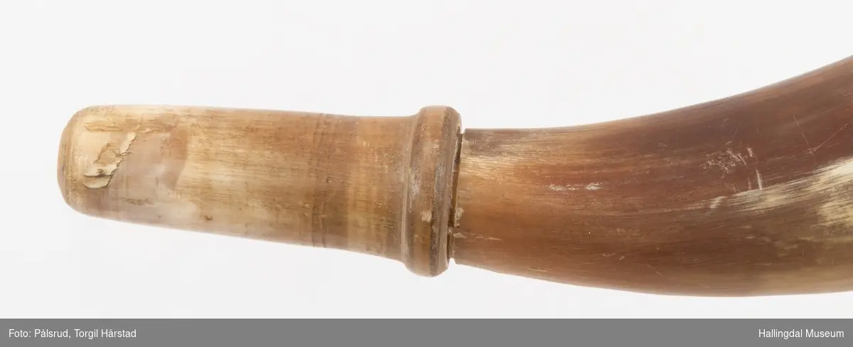 Krutthorn laget av flatpresset horn i den brede enden, som også har en bred åpning - treplate antatt mangler. Munnstykket er lager av antatt dreid horn, et separat stykke som er festet på. Åpningnen fremme er rund.