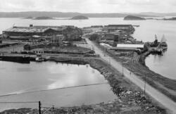 Oslofjorden: Sjursøya. August 1947