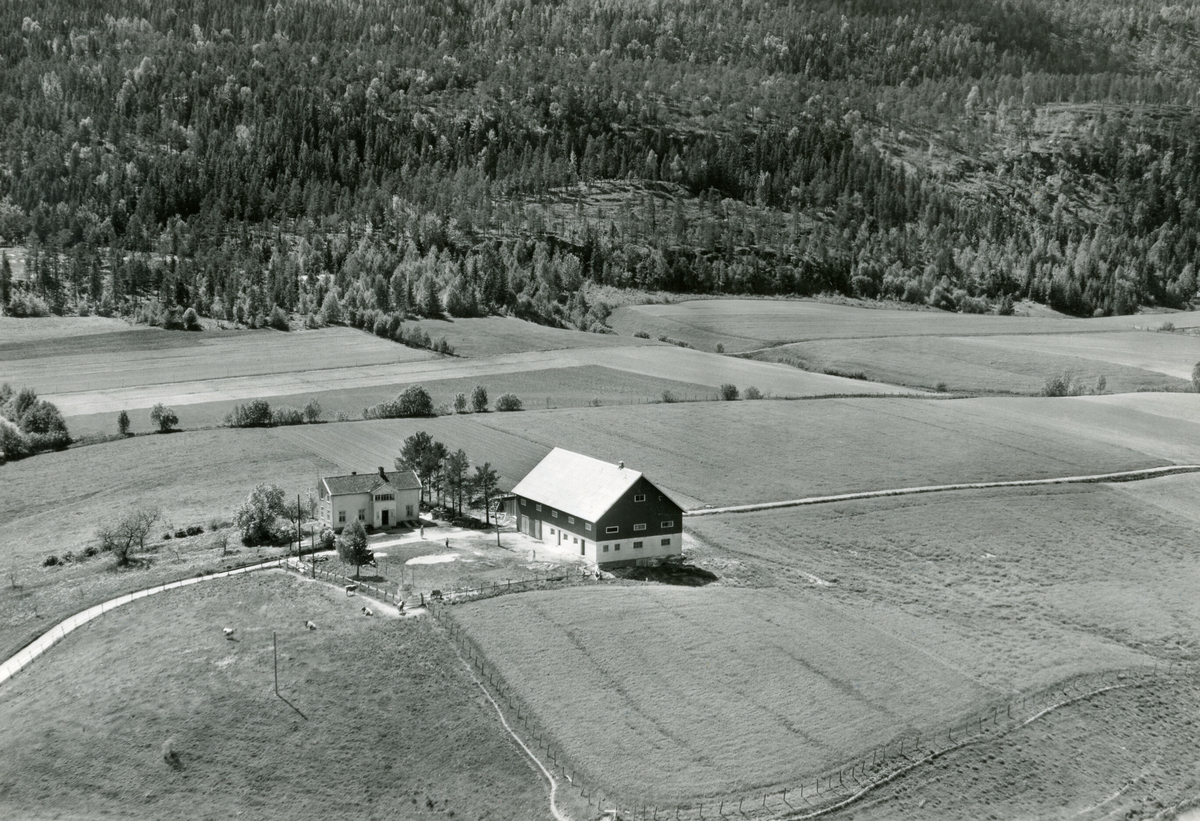 Flyfoto av Grave i Bø, tatt 13.6.1958
