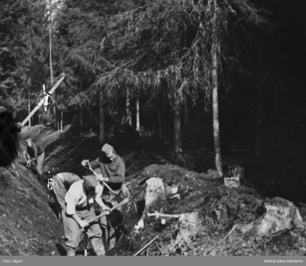 Arbeidstjeneste i Varteig 1941. Grøfting i skogen ved Belsbymoen.