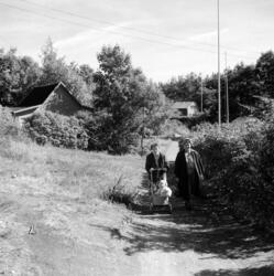Sensommerstemning på Lindøya. September 1955