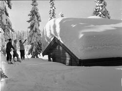 Eksteriør av snøkledd hytte. Tre vinterkledde menn på ski st
