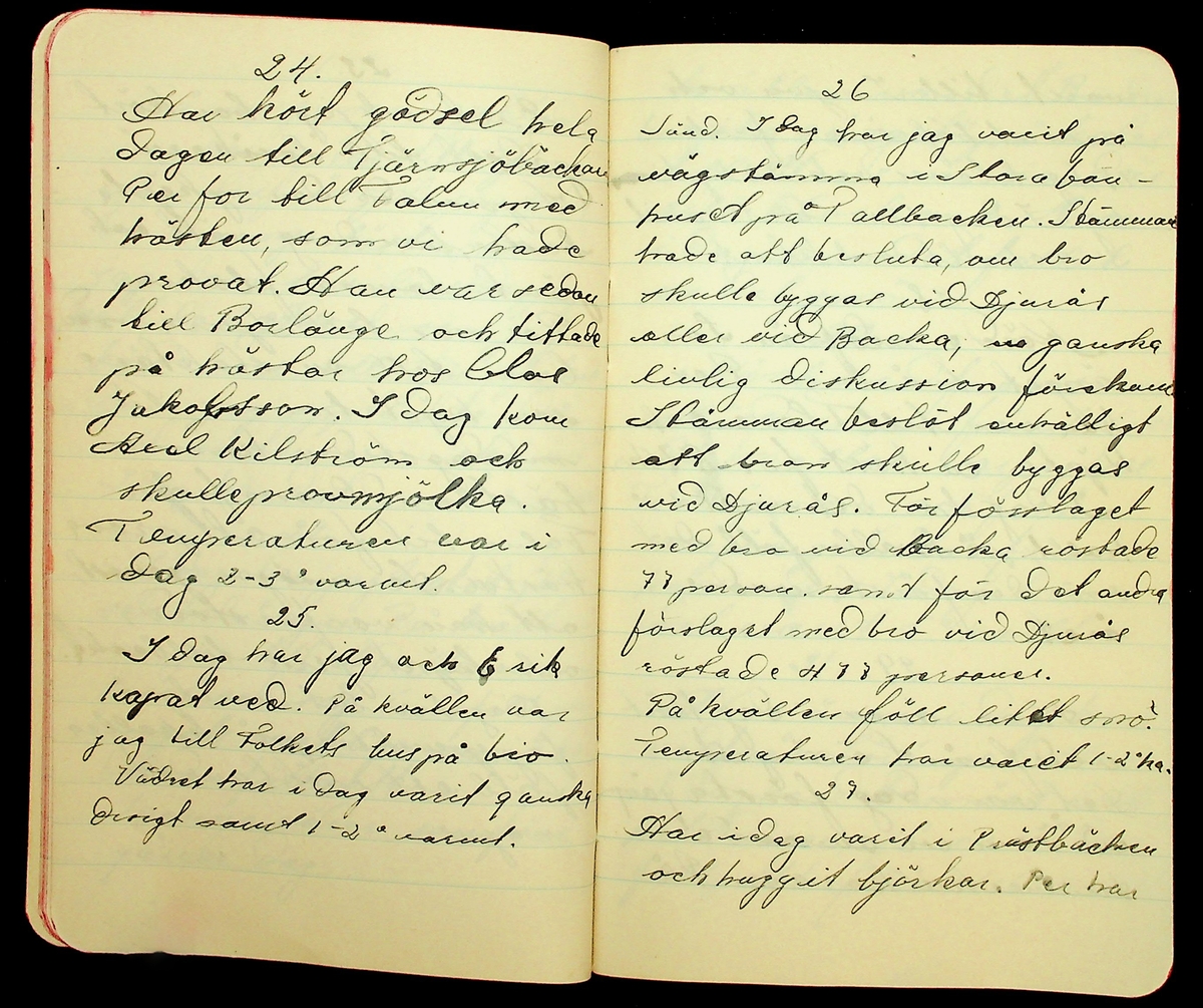 Dagbok förd vid gård i Norra Gröntuv, Tallbacken åren 1929-1930. Troligtvis skriven av en son till Erik Hane (1869-1924)