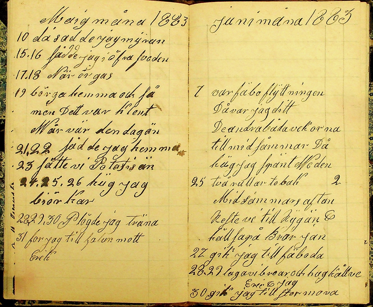 Dagbok skriven av Erikanders Erik Andersson (1826-1905), hemmansägare i Hedgårdarna, Enviken socken åren 1876-1898. Innehåller bl.a. räkenskaper och anteckningar om jordbruk och skogsarbete, väder och resor.
