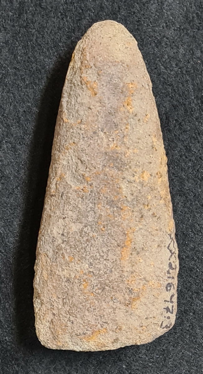 Trindyxa, vittrad, eggen avslagen. L. 10,6 cm. B. 4,5 cm. H. 3,1 cm. Datering ca. 4000-3000 f.Kr.

Ingår i: Arkeologiska fynd från yngre stenåldern funna på/invid Ekholmen i Göta älv, Trollhättan Västergötland fornlämning nr. 205-207. Fynden gjordes vid ett och samma tillfälle av Mika Lädeaho från Trollhättan då han besökte ön i Juni 1994. Föremålen låg spridda som lösfynd i vattnet och längs den eroderade strandkanten på olika platser på ön. Den tunnackiga stenyxan låg öppet på marken ca. 10 meter från stranden.

21 647:1-8
1 Skafthålsyxa, vittrad. L. 14,2 cm. B. 4,7 cm. H. 5,5 cm. Hålets diam. 2,1-1,8 cm. Datering ca. 2000 f. Kr.
2 Bergartsyxa tunnackig. L. 9 cm. B. 4 cm. H. 2,1 cm. Yxan är mer eller mindre slipad på alla sidor. Datering 3000-2500 f.Kr.
3 Trindyxa, vittrad, eggen avslagen. L. 10,6 cm. B. 4,5 cm. H. 3,1 cm. Datering ca. 4000-3000 f.Kr.
4 Knacksten/malsten, förhållandevis jämt rundad. Diam.7-8 cm. Datering: Troligen senneolitikum.
5 Spån och fragment av flinta, 3 st. L. 5,9-3,9 cm.
6 Avslag av flinta, 5 st. L. 4,6-1,5 cm.
7 Flinta övrig, 4 st. varav 1 st. bränd. L. 4,6-2,3 cm.
8 Slagg, svart och porös. 1 stycke delat i två delar. L. 6 cm. B. 2,8 cm. Storleken anger stycket sammanfogat.