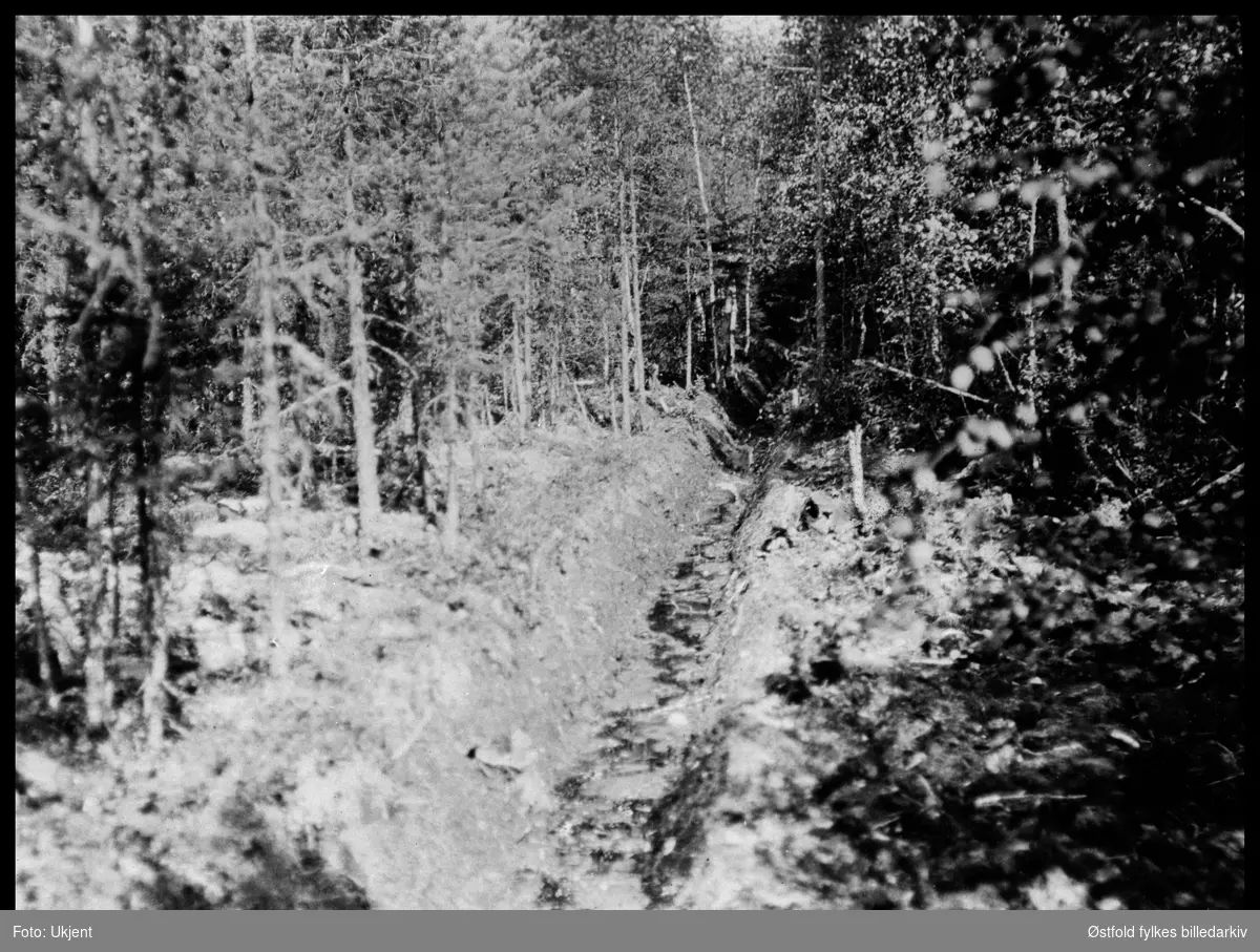 Skoggrøfting på Sydneset i Rømskog 1913.