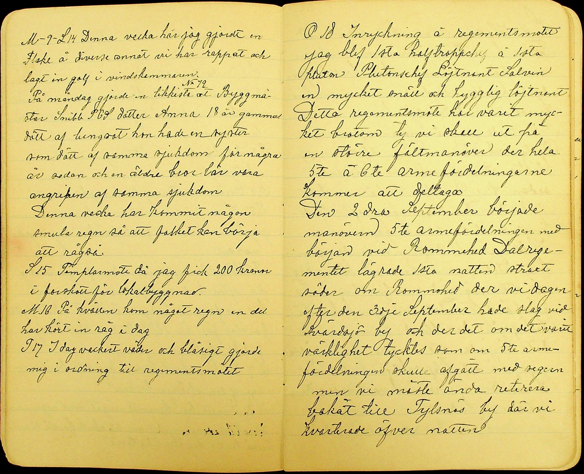 Dagbok skriven av Erik Hane, Norra Gröntuv, Tallbacken, under åren 1897-1900.
Innehåller anteckningar om bl.a. jordbruk och skogsarbete, väder, värnplikt, diverse händelser i samhället och resor.