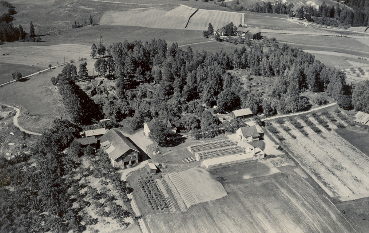 Flyfoto av Haugland, tatt 13.6.1952.