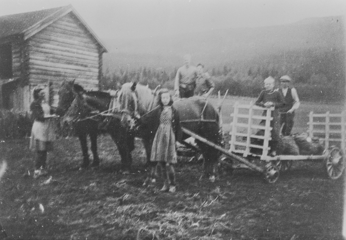 Potetopptaking på Langerud, ca. 1940. Fra venstre: Jenny Haugen, Borgny Haugen, Erling Langerud, Elling Haugen, Per Berg og Torstein Velstad.