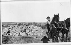 Steinkjøring med hest og steindrag av tre, Gran Gård i Kolbu