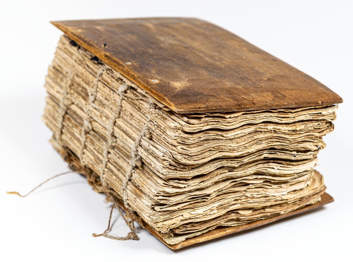 Dagbok skriven 1771-1818 av kolartorparen Pehr Jonsson i Skarvsjötorpet, Hille Socken. I boken finns noggrann registrering av kolning, jordbruk, boskapsskötsel och väderförhållanden. Vissa anteckningar finns också om hemförhållanden och personhistoria, till exempel födslar, dop, bröllop och dödsfall. Boken omfattar cirka 860 sidor och är inbunden i pärmar av björkskivor. Handstilen är övervägande den s.k. tyska frakturstilen. I nära 50 års tid fördes dagboken, och särskilt de första tio åren karaktäriseras av ytterst noggranna anteckningar. Dagboken kallas även för Hilledagboken.
För att läsa dagboken: ladda ner PDF-filer som finns under Nedladdningar på denna sida. Det finns både inskannat original samt avskrifter av dagboken.