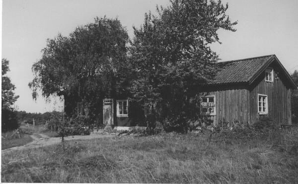 Torpstuga på Råö, Onsala. Två stora träd växer alldeles inpå fasaden och står vid var sin ingång. (Se bild VMA8653_50b).