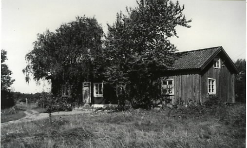 Torpstuga på Råö, Onsala. Två stora träd växer alldeles inpå fasaden och står vid var sin ingång. (Se bild VMA8653_50b).