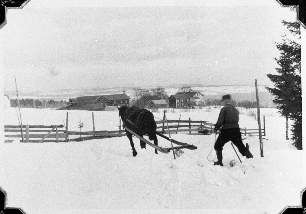 Jacob Onsrud lunner sliptømmer med hest på gården Hermanrud på Kapp, Østre Toten. Året er 1936.
