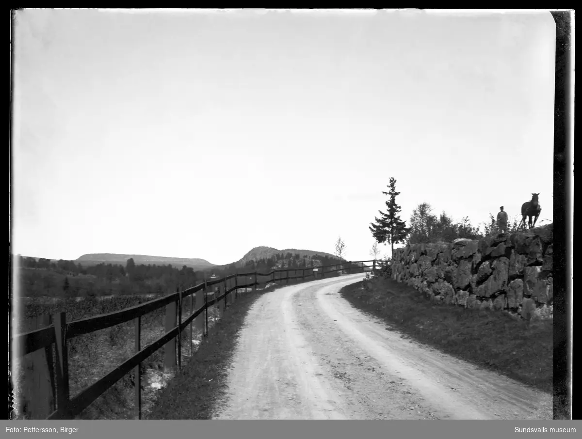 Vy från Vallbacken (Mjösundsvägen) mot norr med Nolbykullen i bakgrunden. Till höger på åkern ovanför stenmuren syns en man med häst. På den åkern finns numera (2022) villabebyggelse vid Harrvägen, Njurunda.