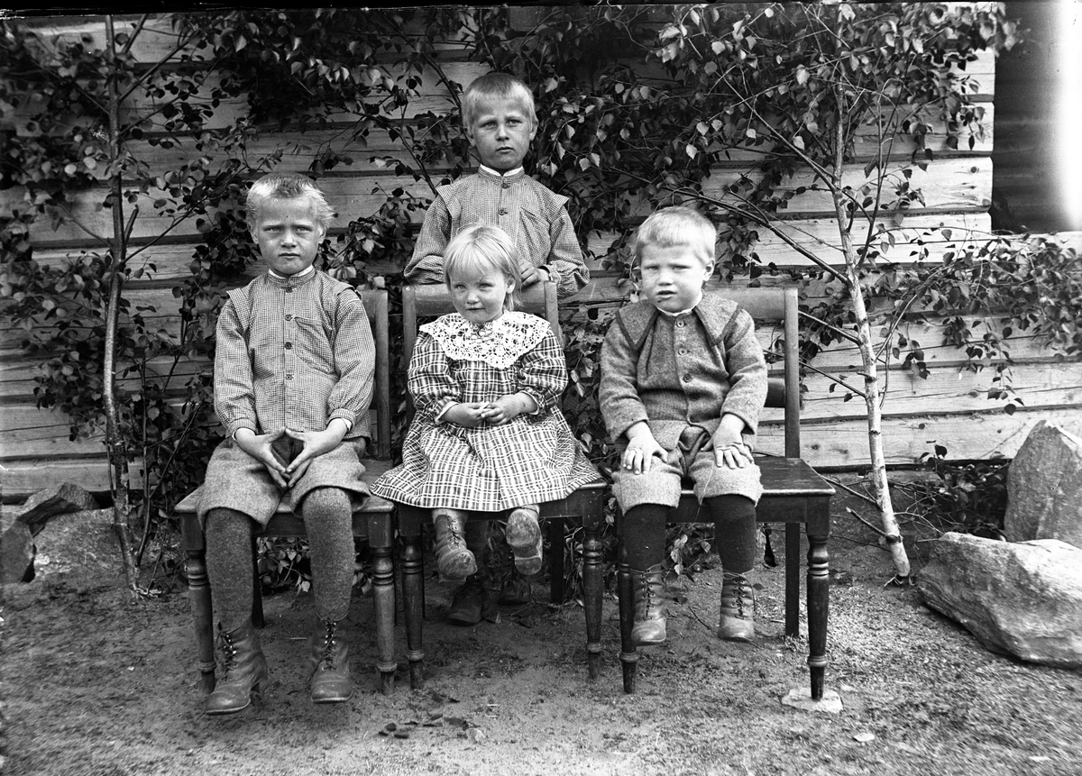 Fotosamling etter Kjetil Skomdal (1881-1971). Fotografen virket i perioden 1910 til 1960 og hadde eget mørkerom hvor han også tok imot film fra andre fotografer. I perioden var han også postbud i Fyresdal. Gruppeportrett av fire barn.