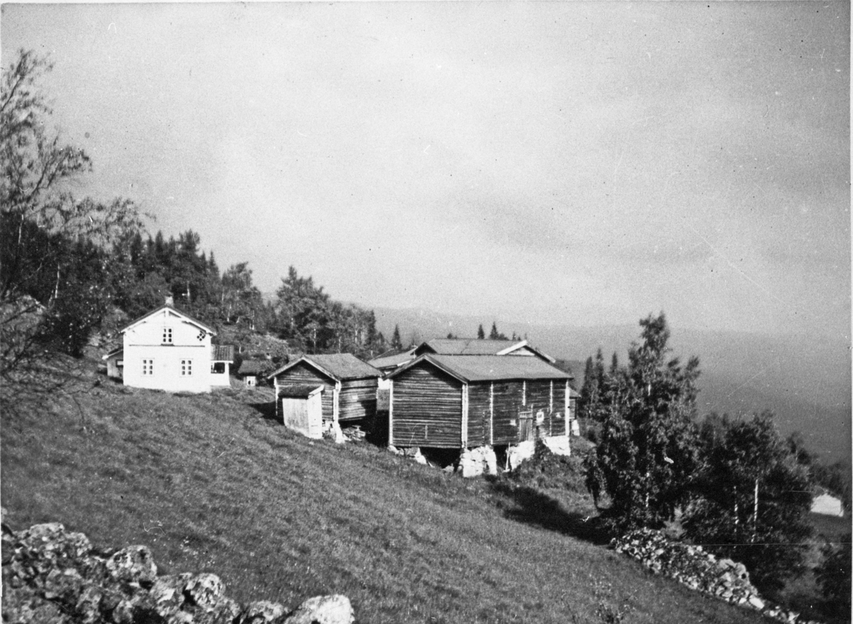 Tunet på Sø Skare, ca. 1935-40.