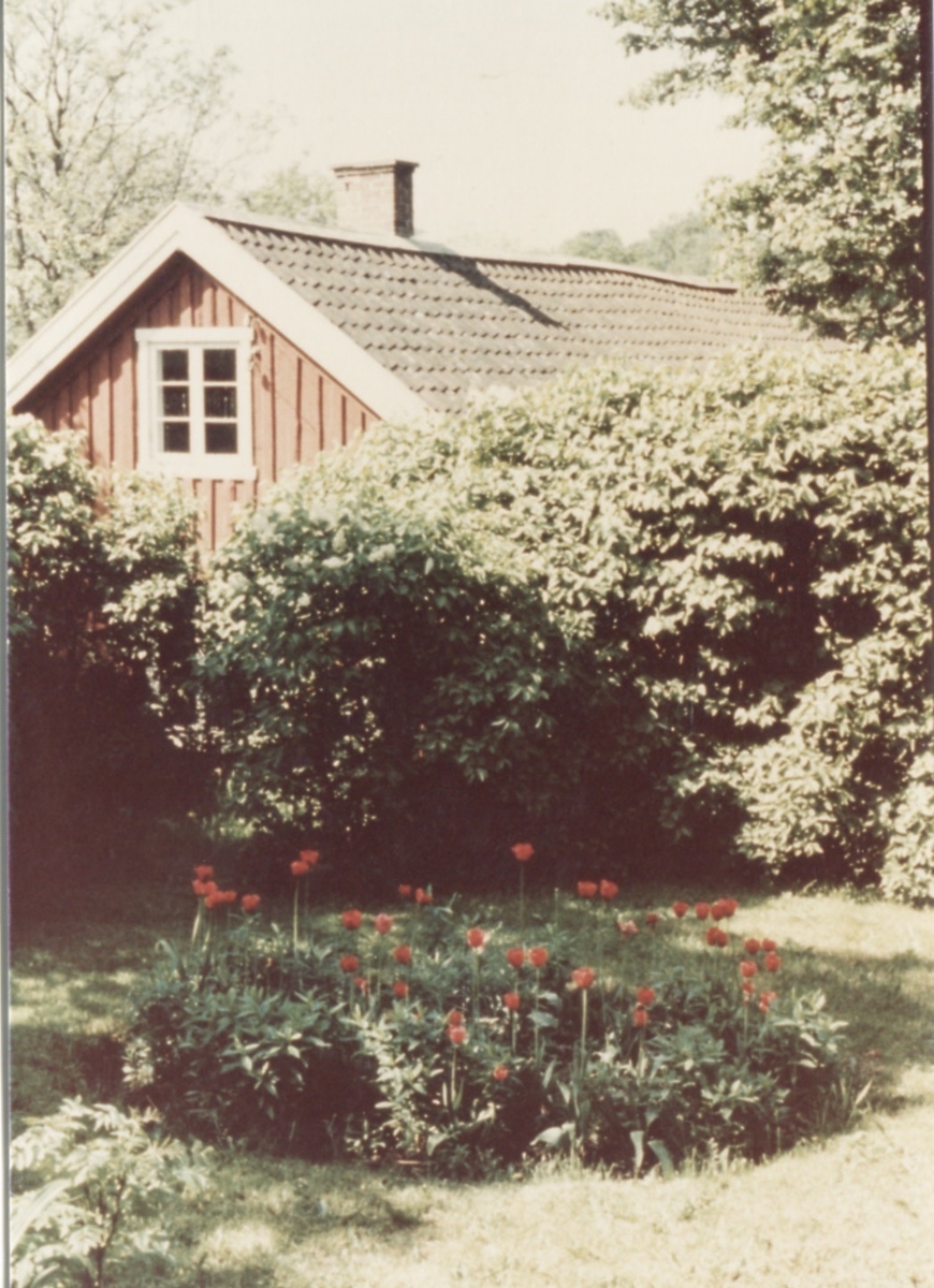 Flygelbyggnad tillhörande "Sandbergs" Sagered 3:3 1960-tal. Stugan innehöll bland annat brygghus och två lägenheter för sommargäster. Stora rhododendron-buskar omger byggnaden.