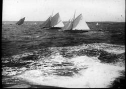 Landsregatta i Kragerø, ca 1914. I havgapet.