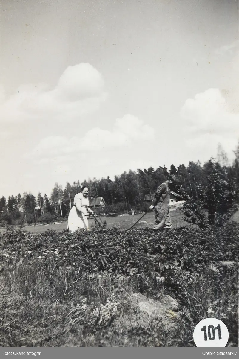 Äldre par ådrar potatislandet

Selma Führ, Karl Führ