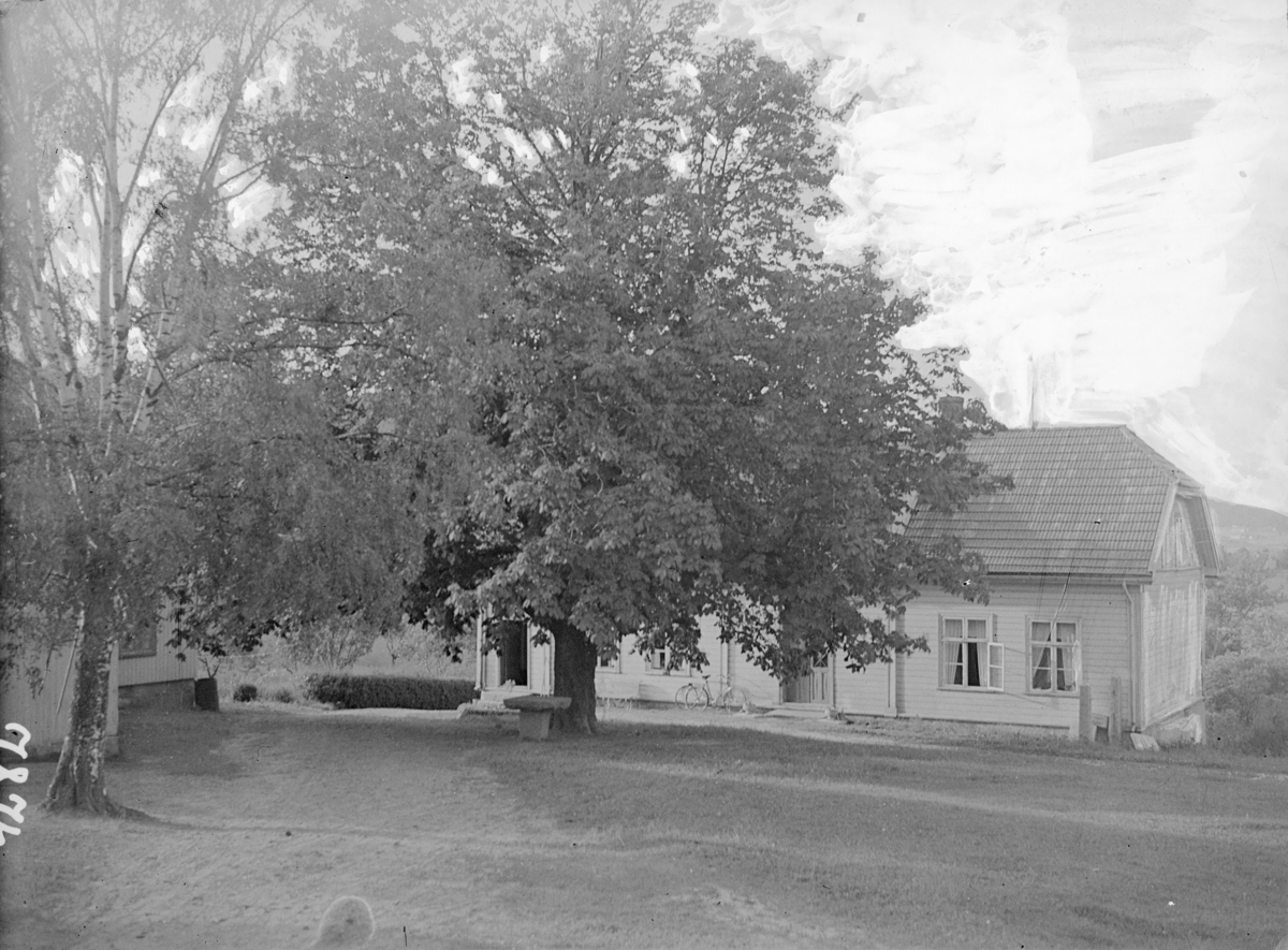 Fotografi av et hus bak et stort tuntre. Tekst fra Teigens katalog: "Svelviks Historie, Svelviks museum etc. se også: Drammens Tidende, se også: Hurum Bygdebok 4938"