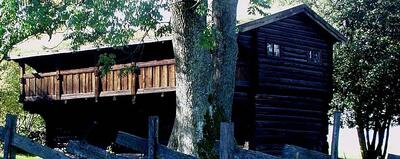 Bildet viser en brun laftet hytte med et tre i forgrunn.. Foto/Photo