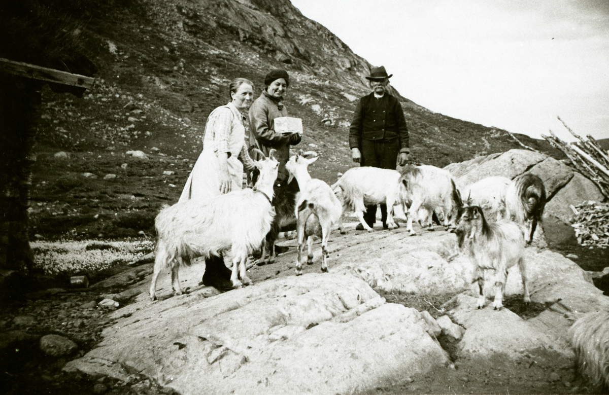 Frå venstre: Berit Haalien, Fru Teien og Johannes Haalien.